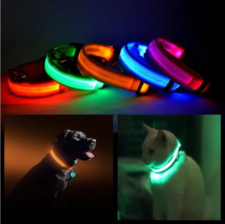 Collier lumineux LED de sécurité pour chien - vue produit