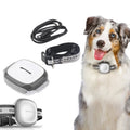 Kit Sécurité Chien - Collier GPS et Collier LED PLYXEN