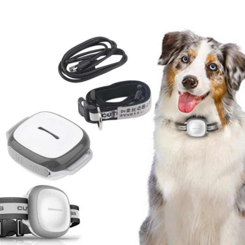 Kit Sécurité Chien - vue d'ensemble collier GPS et collier LED