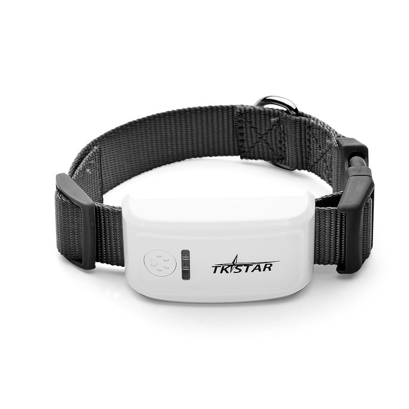 Traceur GPS pour chat - localisateur de poche