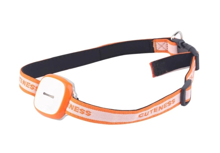 Kit Sécurité Chien - détail du collier GPS