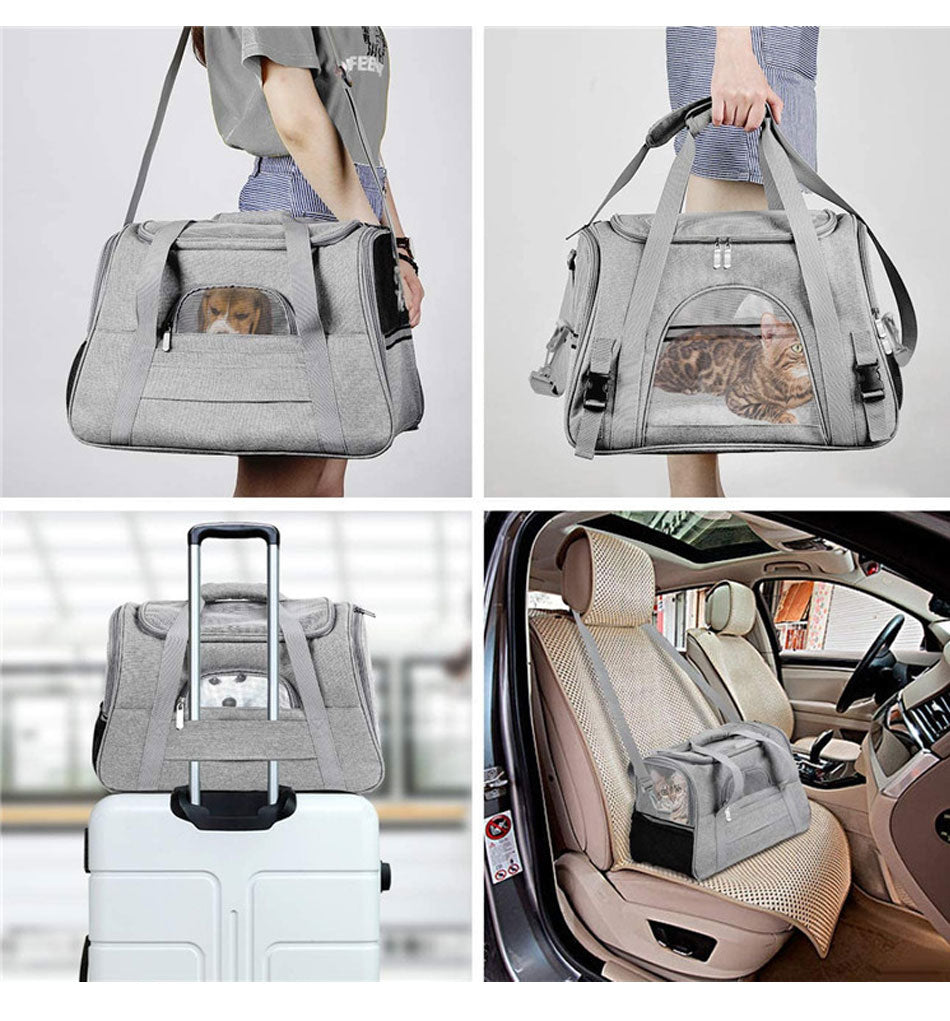 Sac de transport rigide utilisé pour un trajet avec un animal