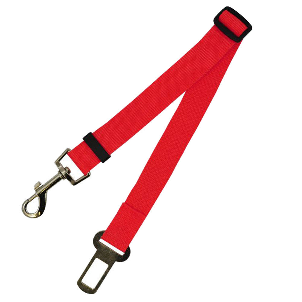 Laisse courte pour chien - coloris disponibles