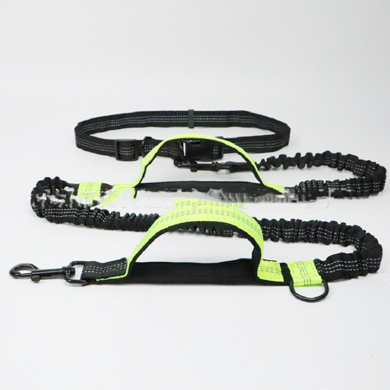 Laisse pour chien en polyester - gros plan sur le clip d'attache
