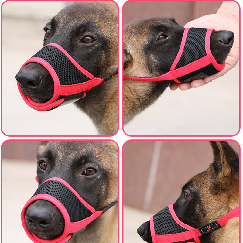 Muselière pour chien utilisée chez le vétérinaire
