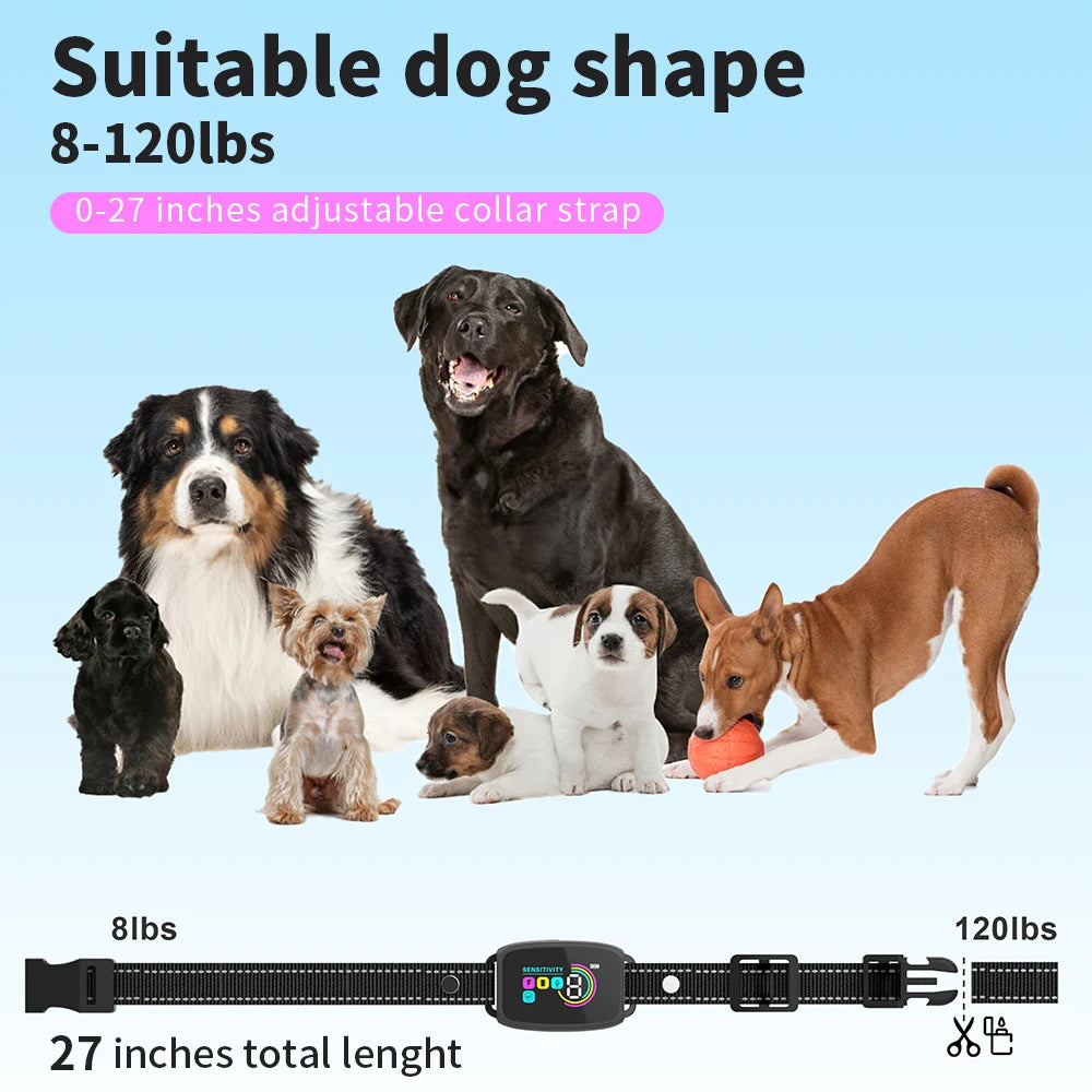 Collier anti-aboiement rechargeable - port USB