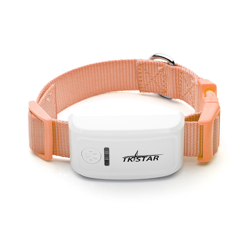 Traceur GPS pour chat - fixé sur un collier