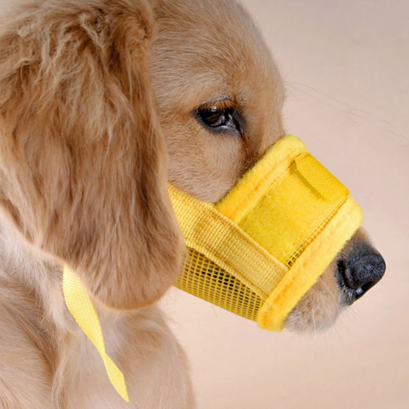 Muselière ajustable pour chien - vue produit