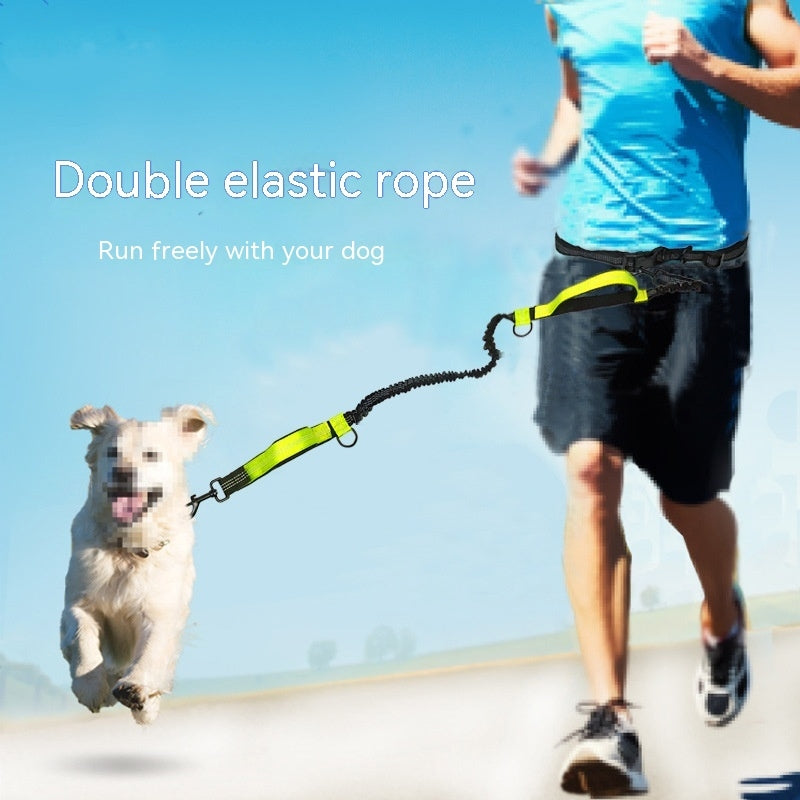 Laisse pour chien réglable en polyester coloré - vue produit