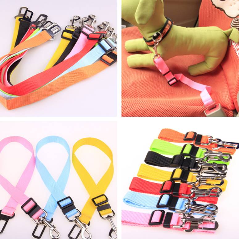Laisse courte renforcée pour chien en polyester - vue produit