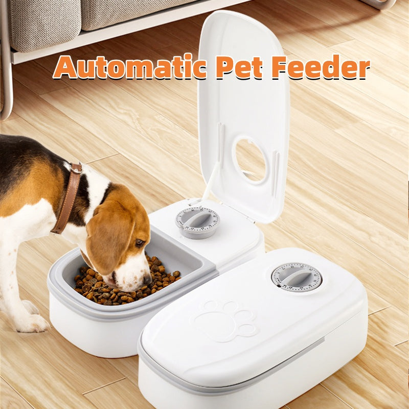 Distributeur automatique de nourriture pour chien et chat en acier inoxydable