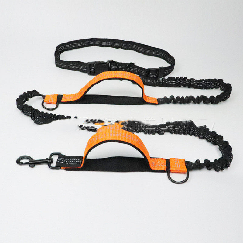 Laisse pour chien en polyester portée par un chien en balade