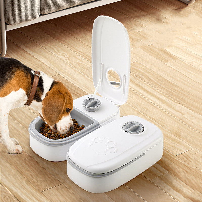 Distributeur automatique pour animaux utilisé par un chat